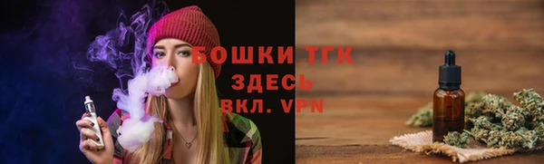 дживик Абинск