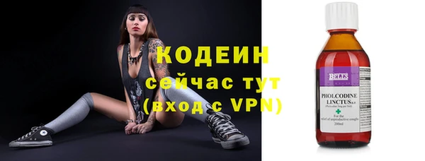 твердый Абаза