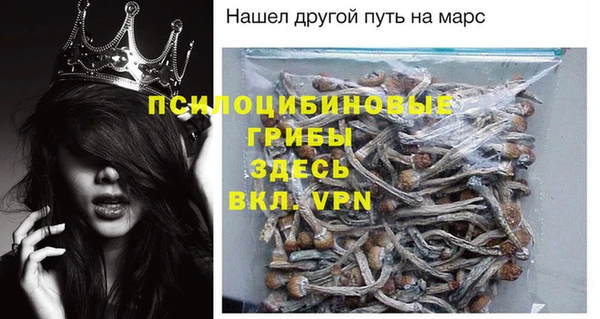 дживик Абинск