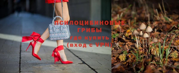 твердый Абаза