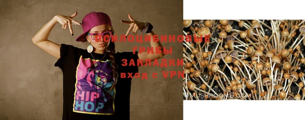 амф Абдулино