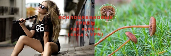 дживик Абинск