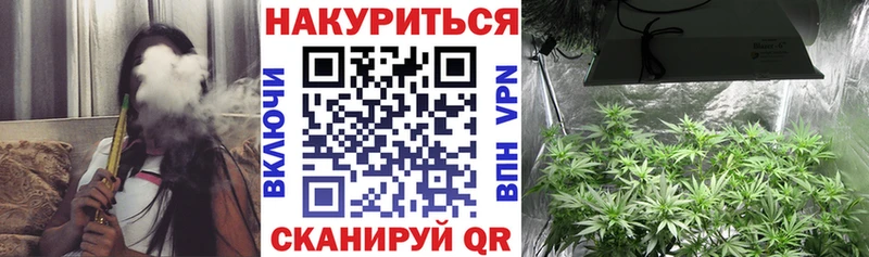 Шишки марихуана OG Kush купить Александров